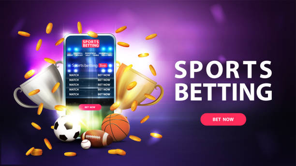 Explore the World of Online Betting with Cricxo Bet